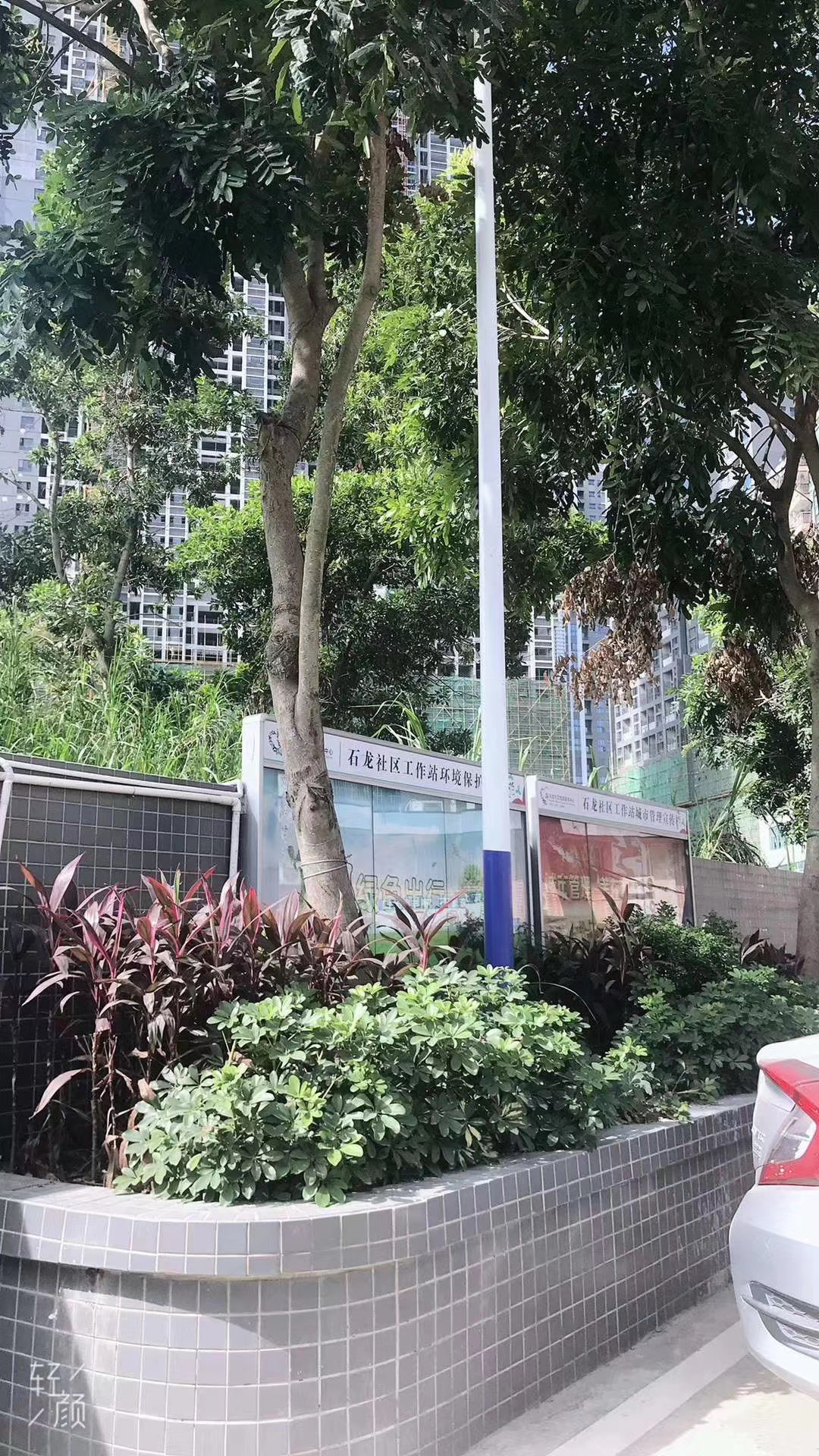 龍華村委統建樓新樓盤