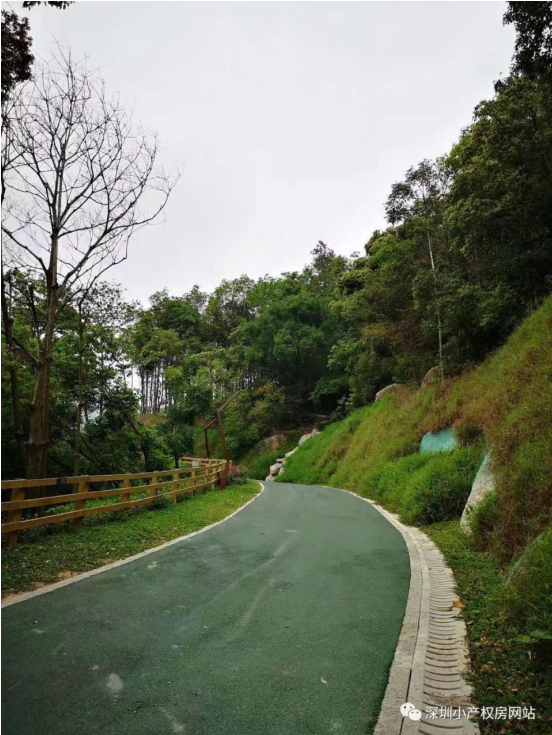 56.8萬入手龍華山水綠園村委統建樓，還在等什么？