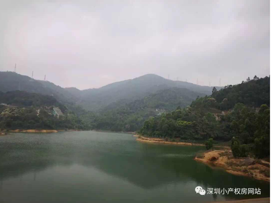 56.8萬入手龍華山水綠園村委統建樓，還在等什么？