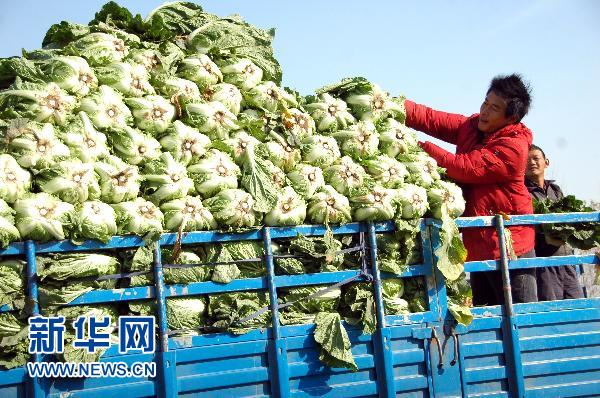 商品房及商品房與回遷房混合小區