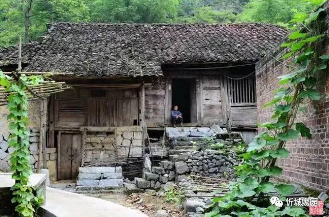 在外掙了錢的村民陸續回村里重建老宅