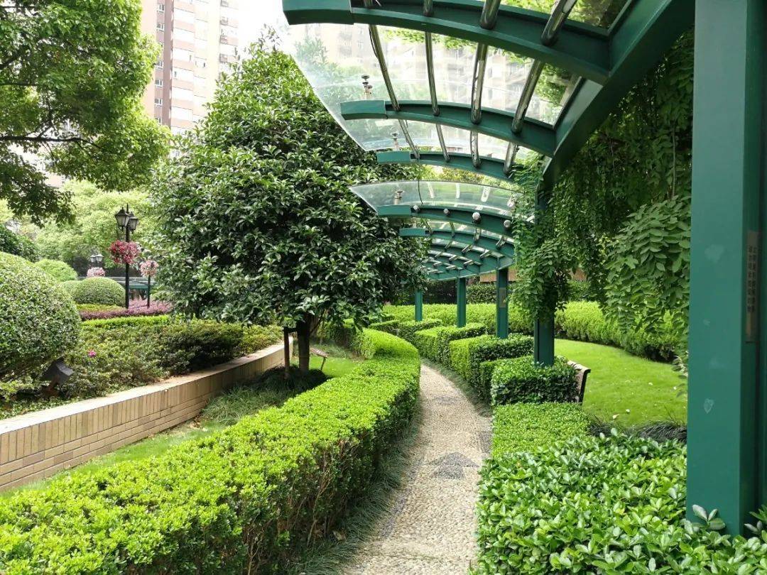 里面景觀環(huán)境簡直就是高檔一點的安置小區(qū)