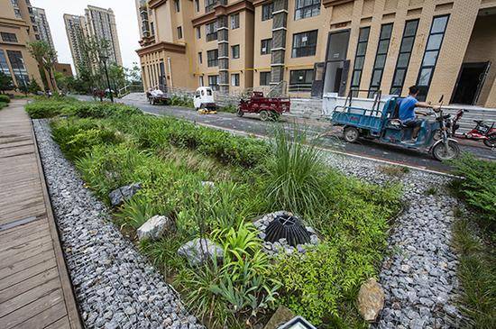 本項目作為建設海綿城市試點小區建設